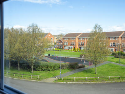 Picture 19